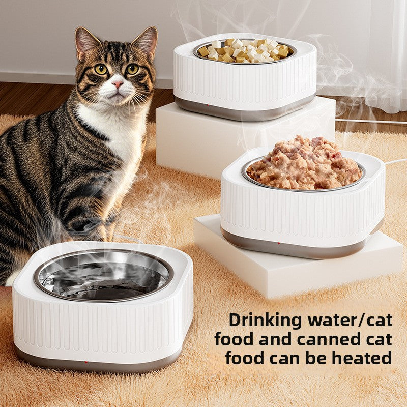 Cat sitting next to heated pet bowls with food and water on a wooden floor.